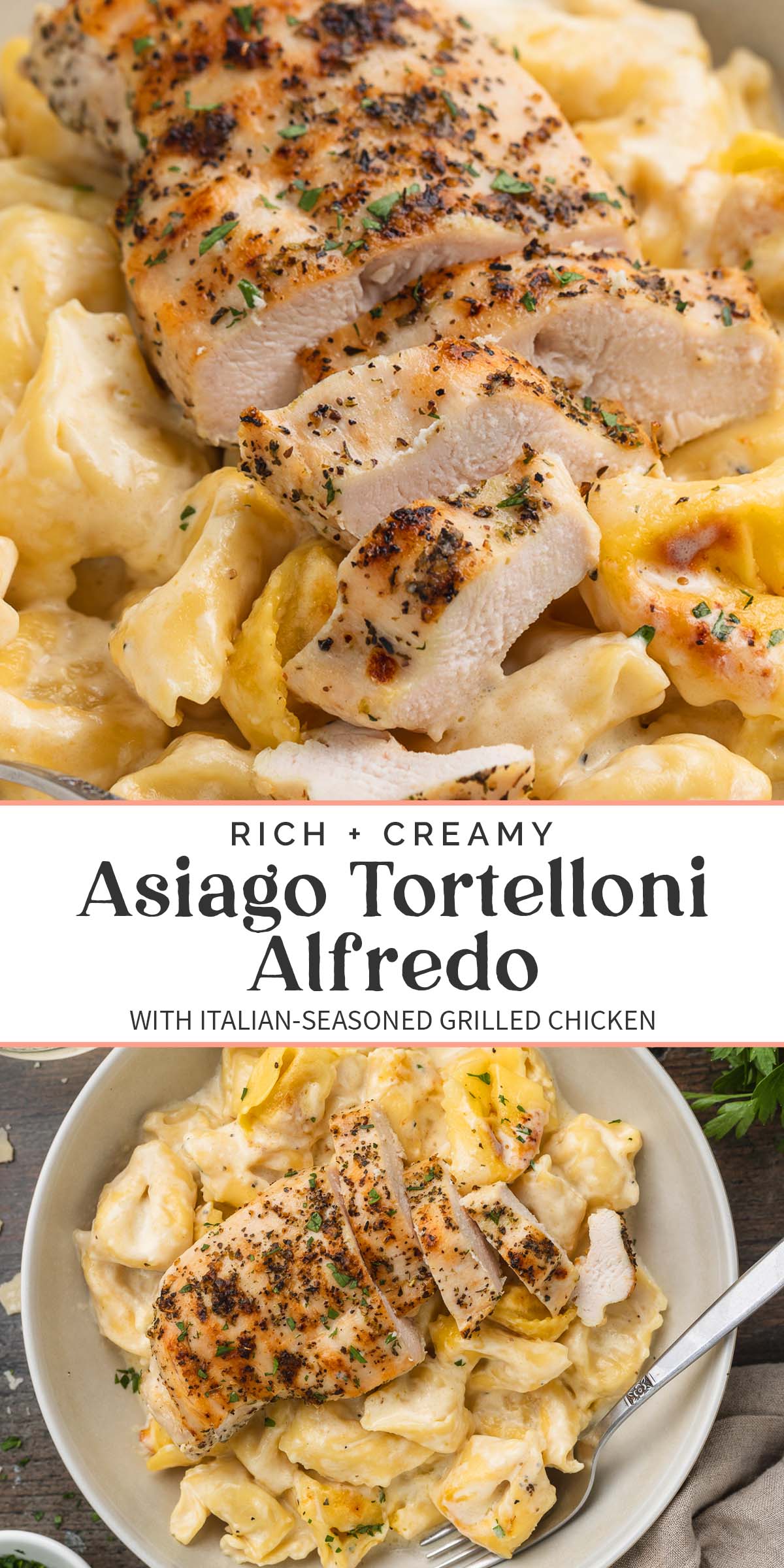 Pin graphic for asiago tortelloni alfredo.