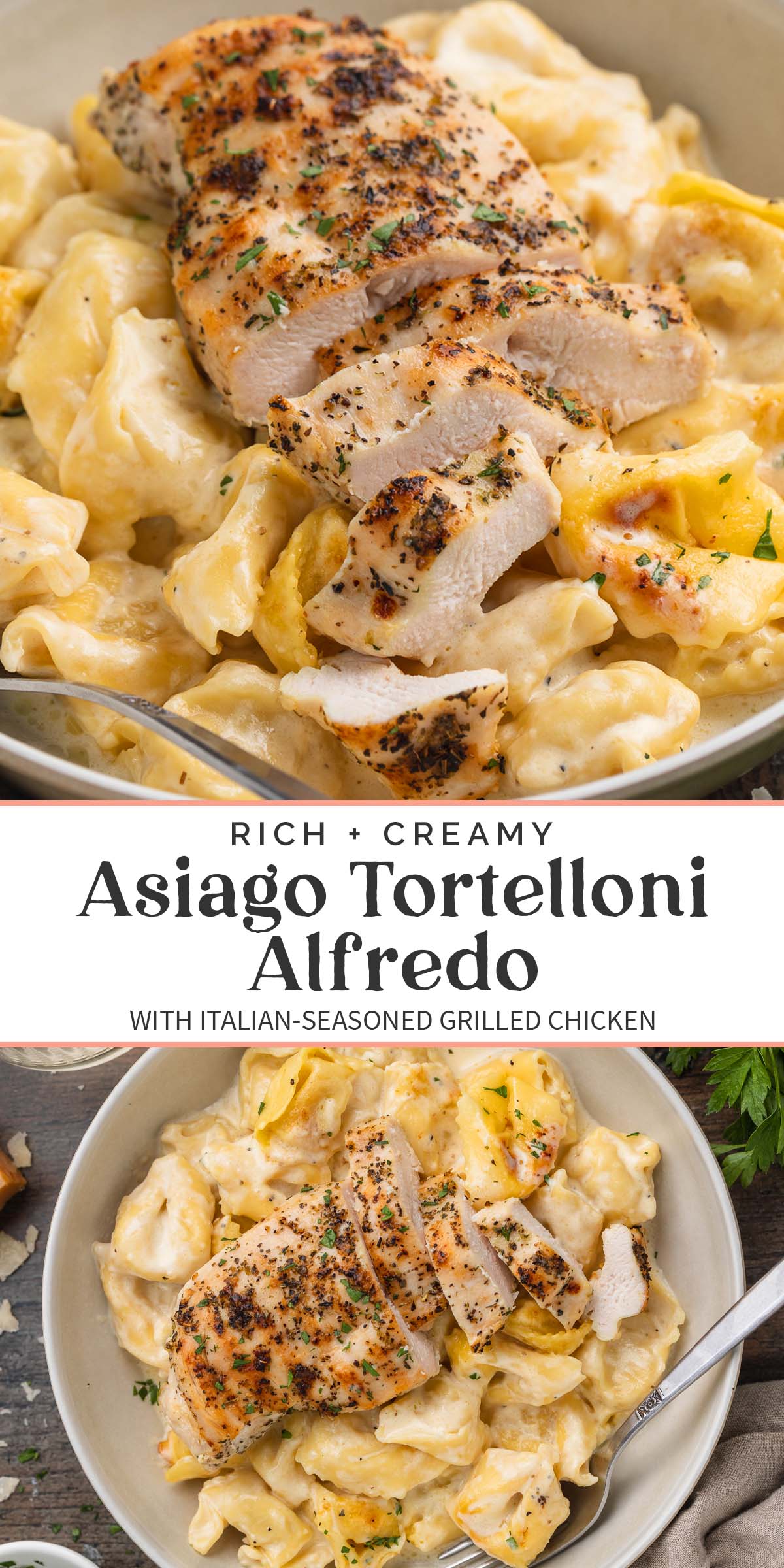 Pin graphic for asiago tortelloni alfredo.