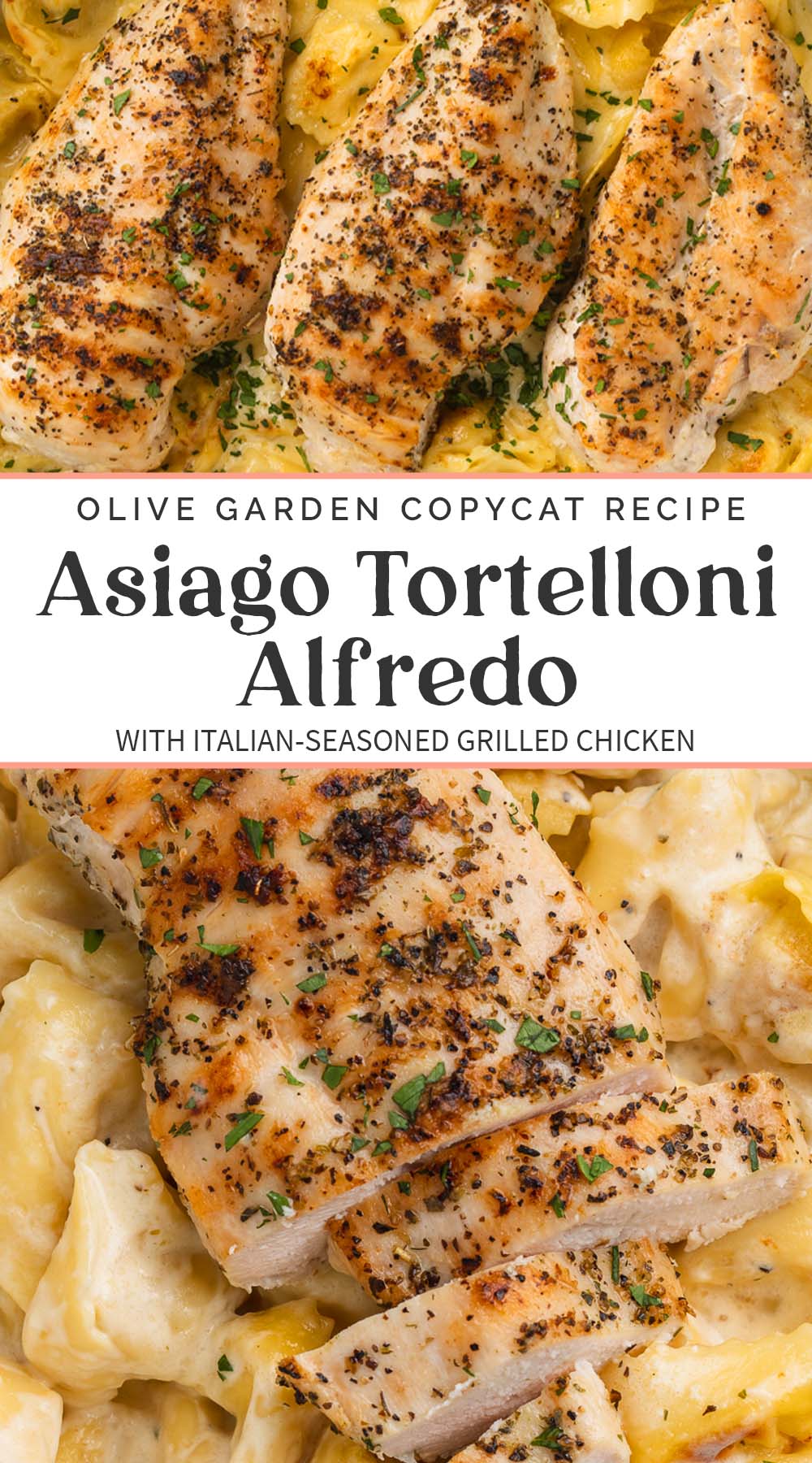 Pin graphic for asiago tortelloni alfredo.