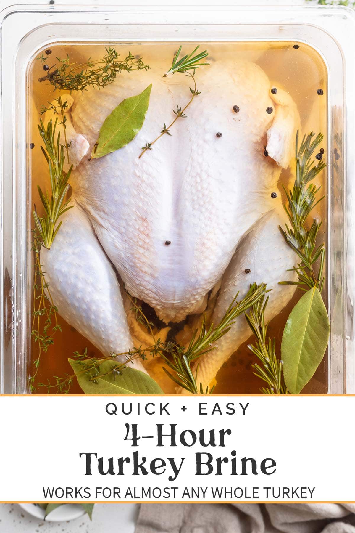 Pin graphic for quick turkey brine.