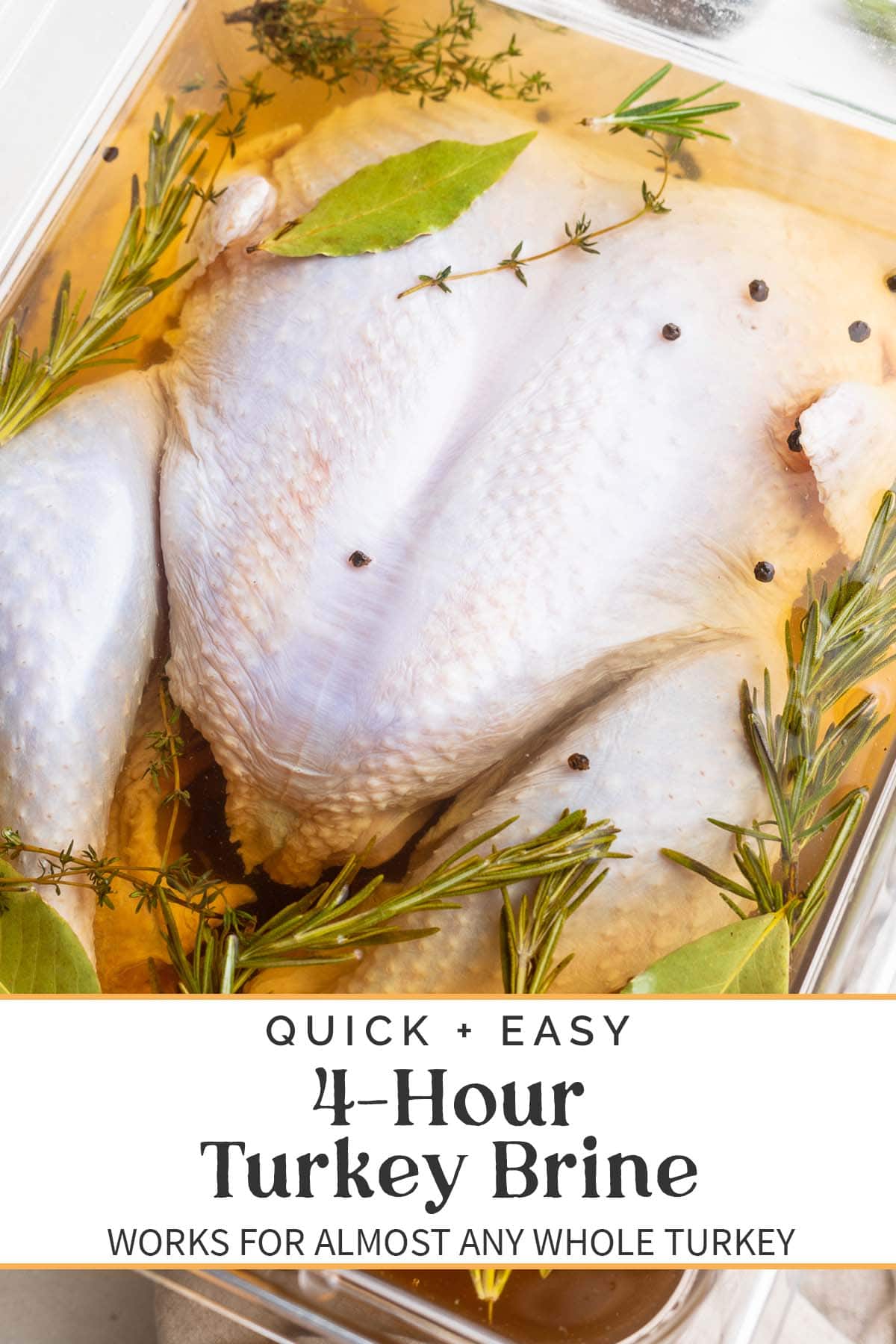 Pin graphic for quick turkey brine.