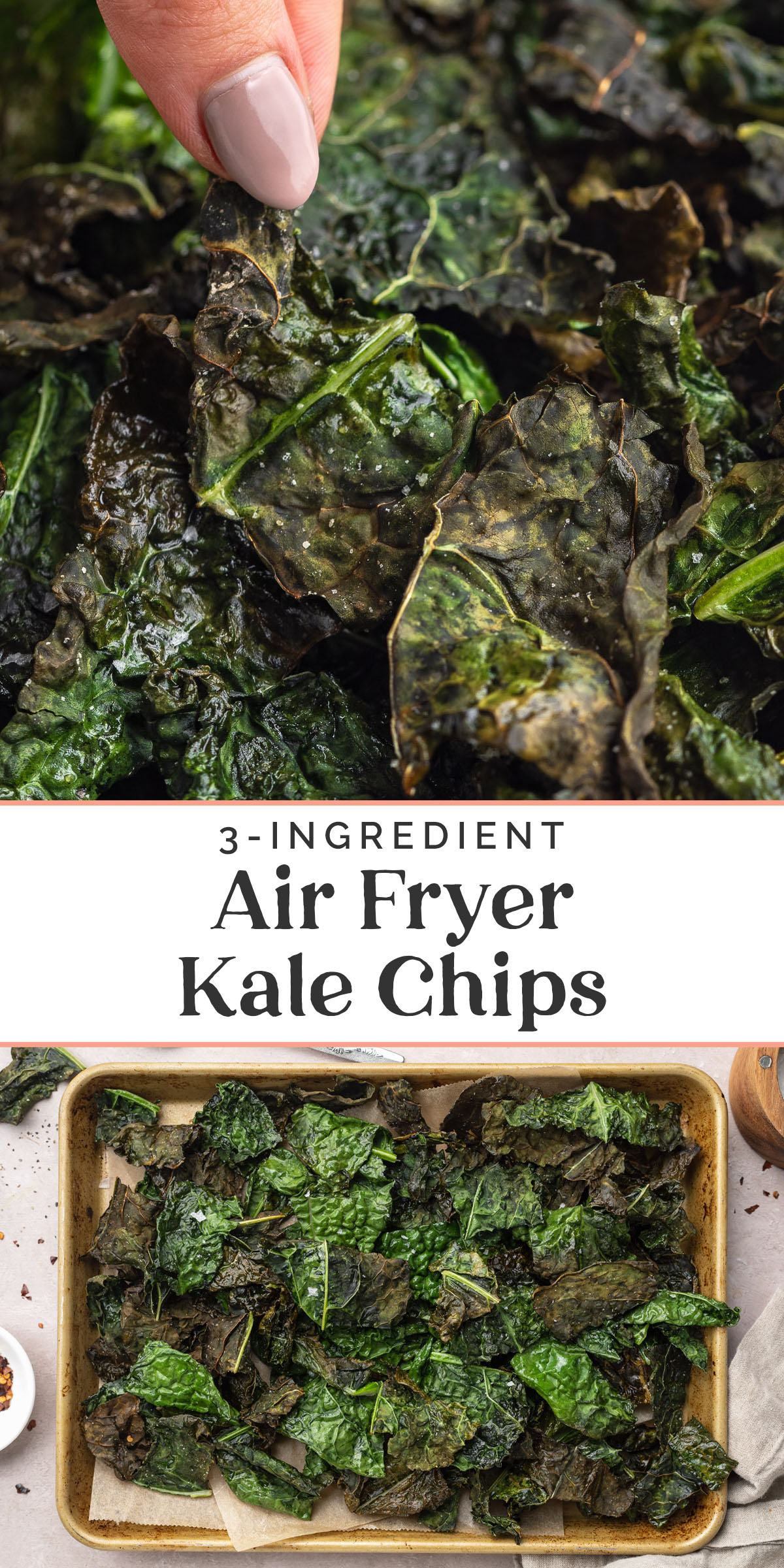 Pin graphic for air fryer kale chips.