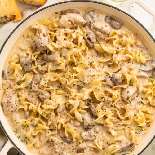 Chicken stroganoff with egg noodles in a large heavy-bottomed dish.