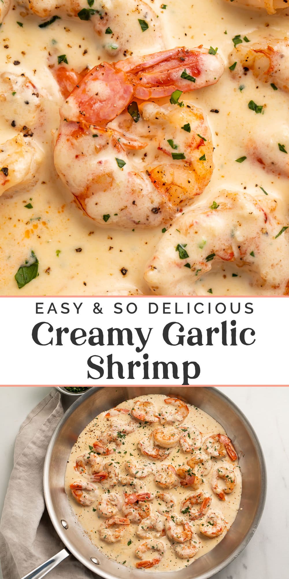 Pin graphic for creamy garlic shrimp.