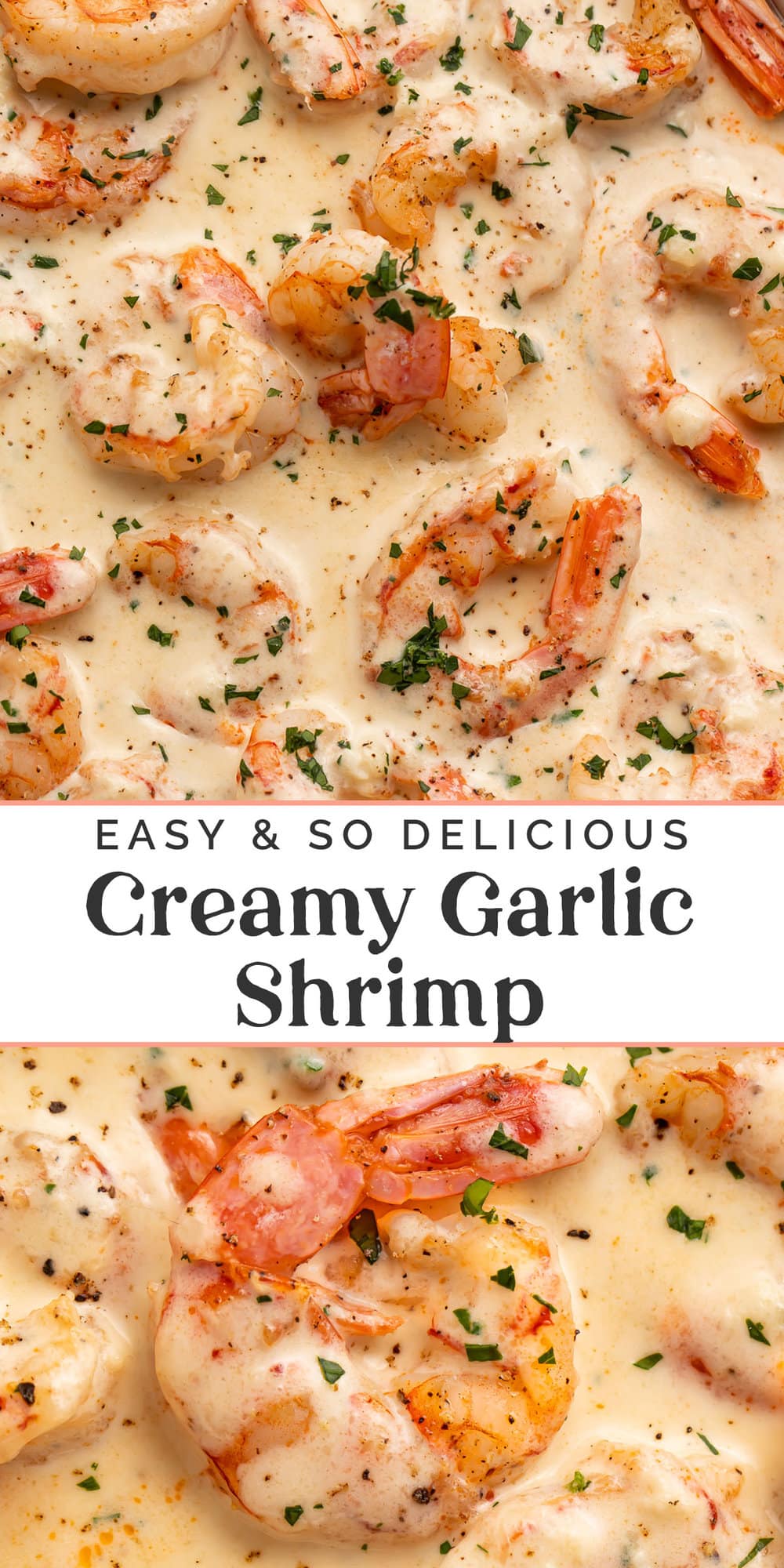 Pin graphic for creamy garlic shrimp.