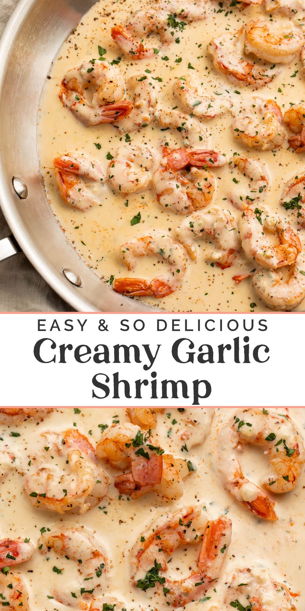 Pin graphic for creamy garlic shrimp.