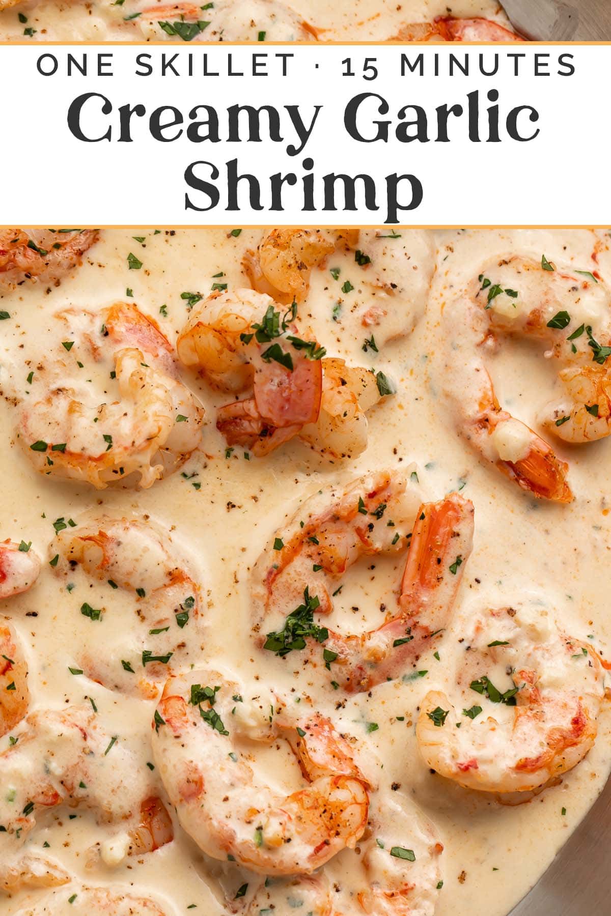 Pin graphic for creamy garlic shrimp.