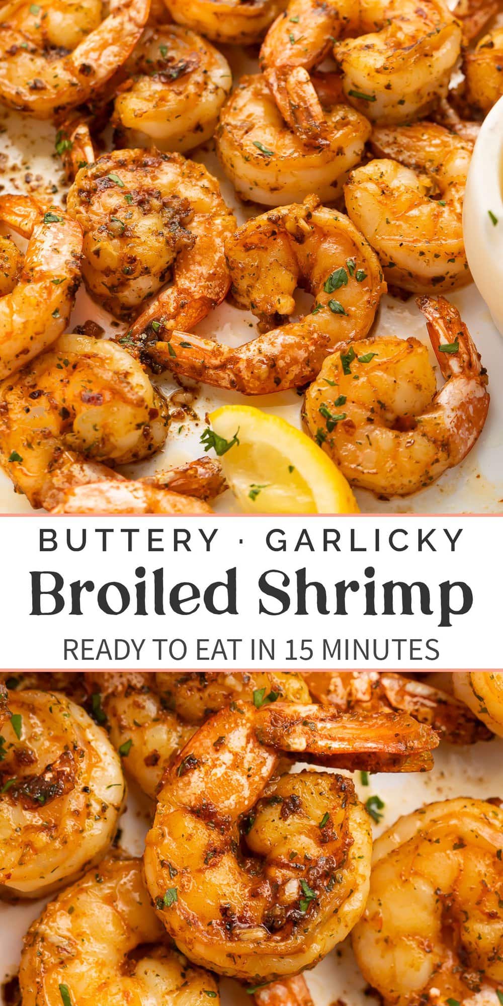 Pin graphic for broiled shrimp.