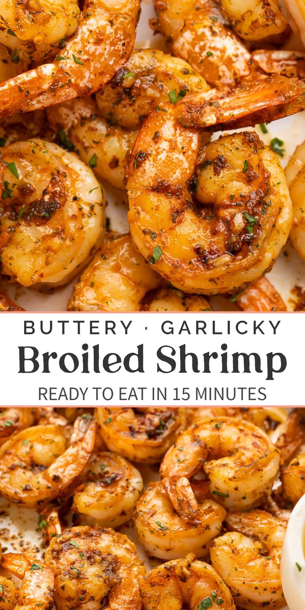 Pin graphic for broiled shrimp.