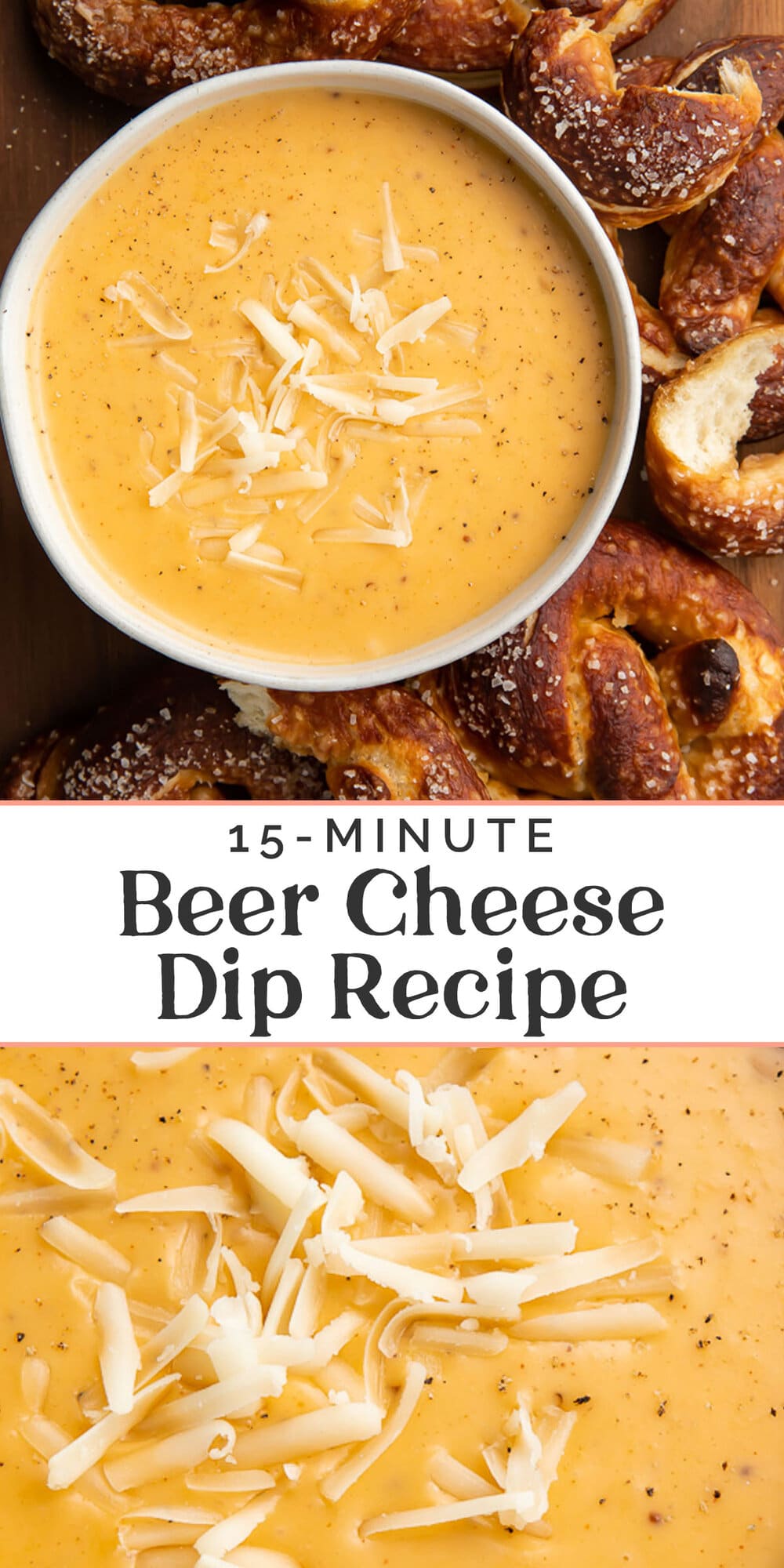 Pin graphic for beer cheese dip.