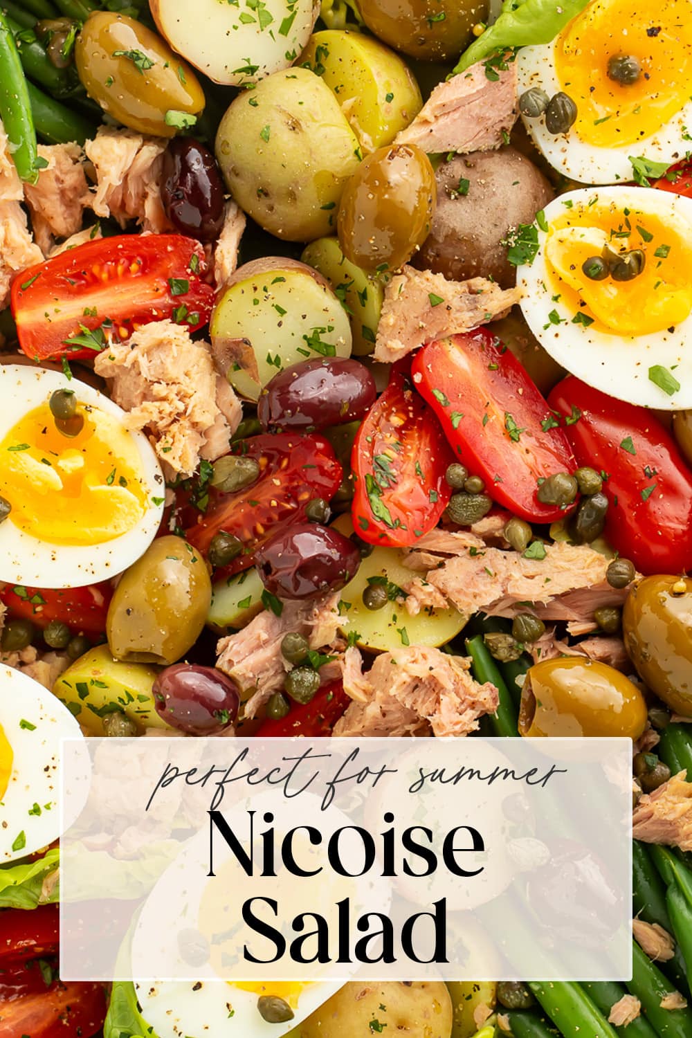 Pin graphic for nicoise salad.