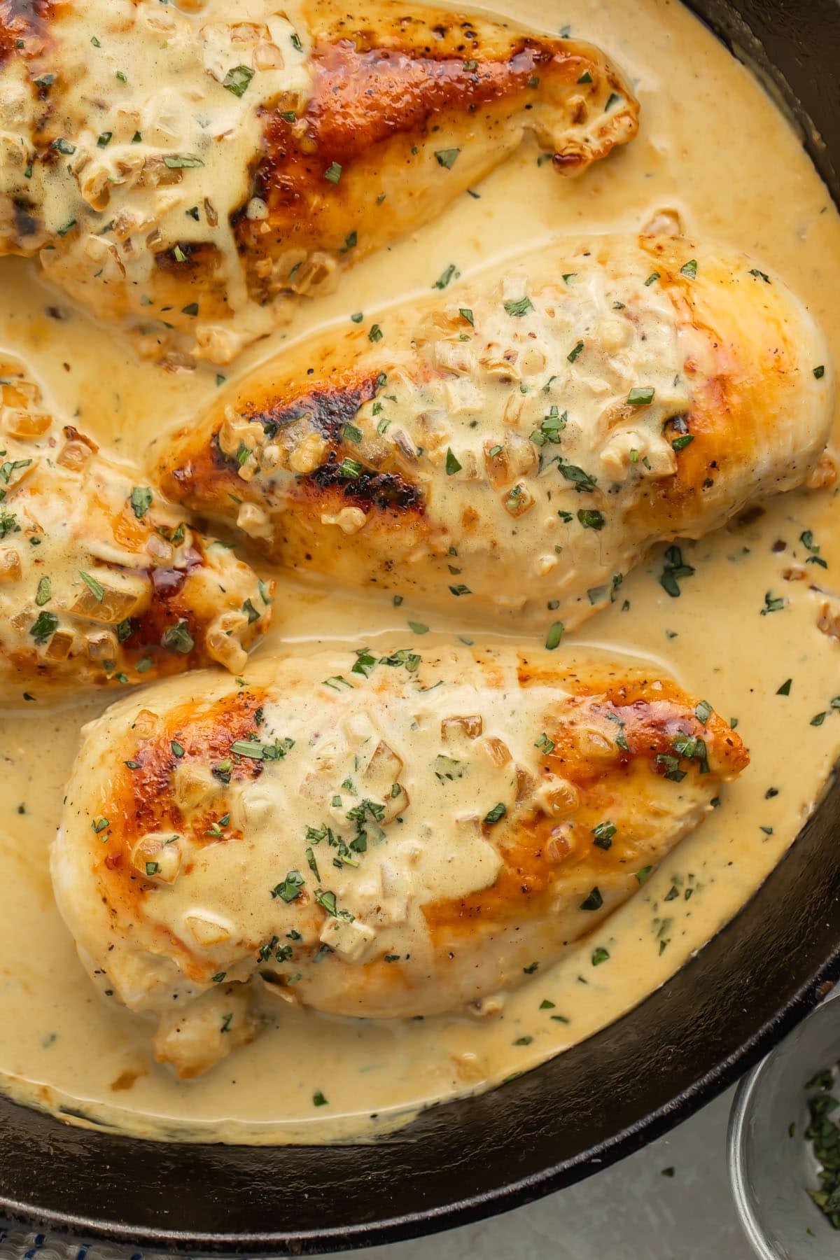 Creamy dijon chicken breasts in a skillet with creamy dijon mustard sauce.