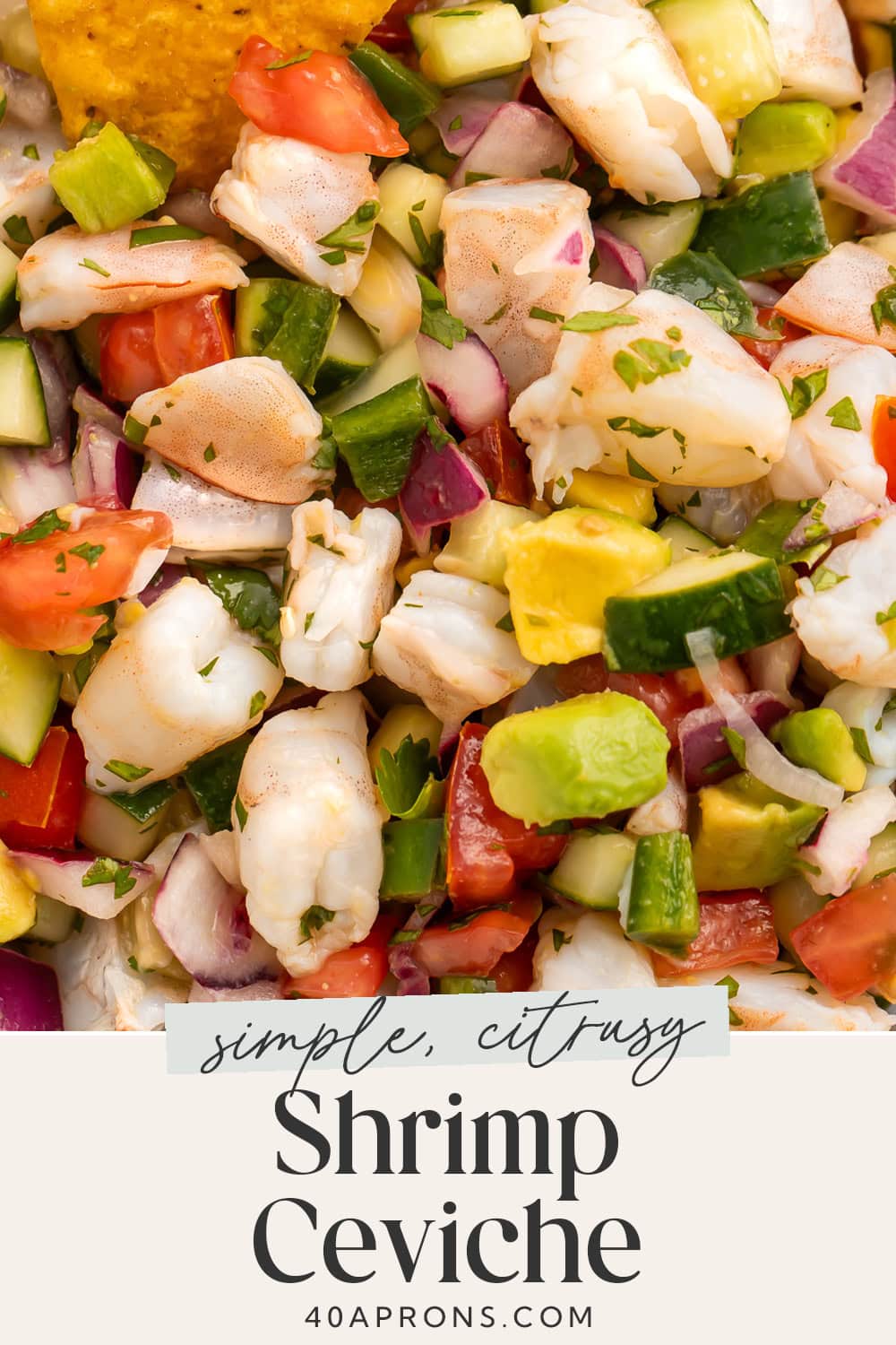 Pin graphic for shrimp ceviche.