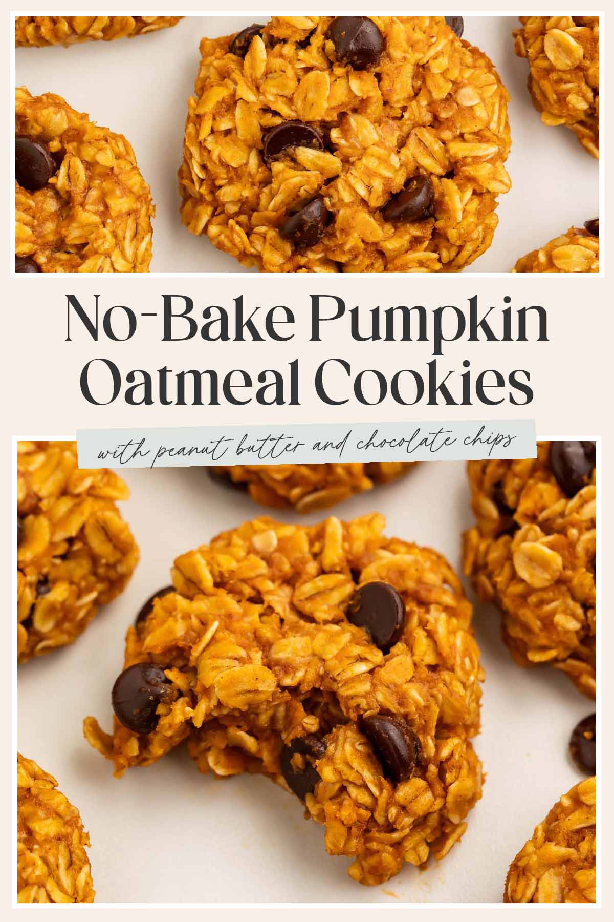 Pin graphic for pumpkin no-bake cookies.