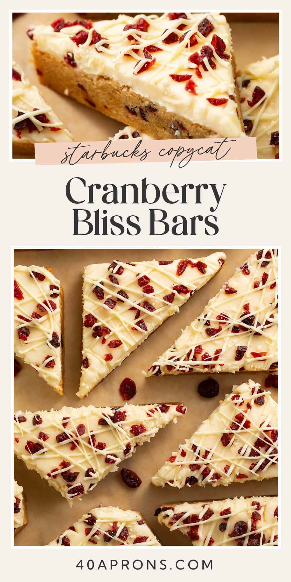 Pin graphic for cranberry bliss bars.