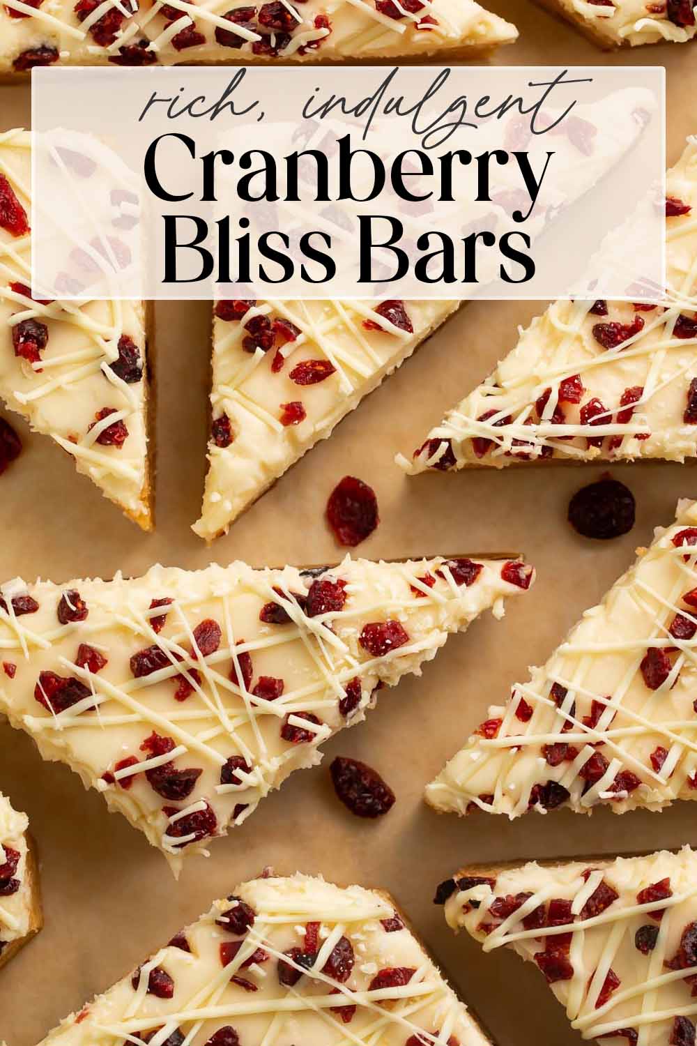 Pin graphic for cranberry bliss bars.