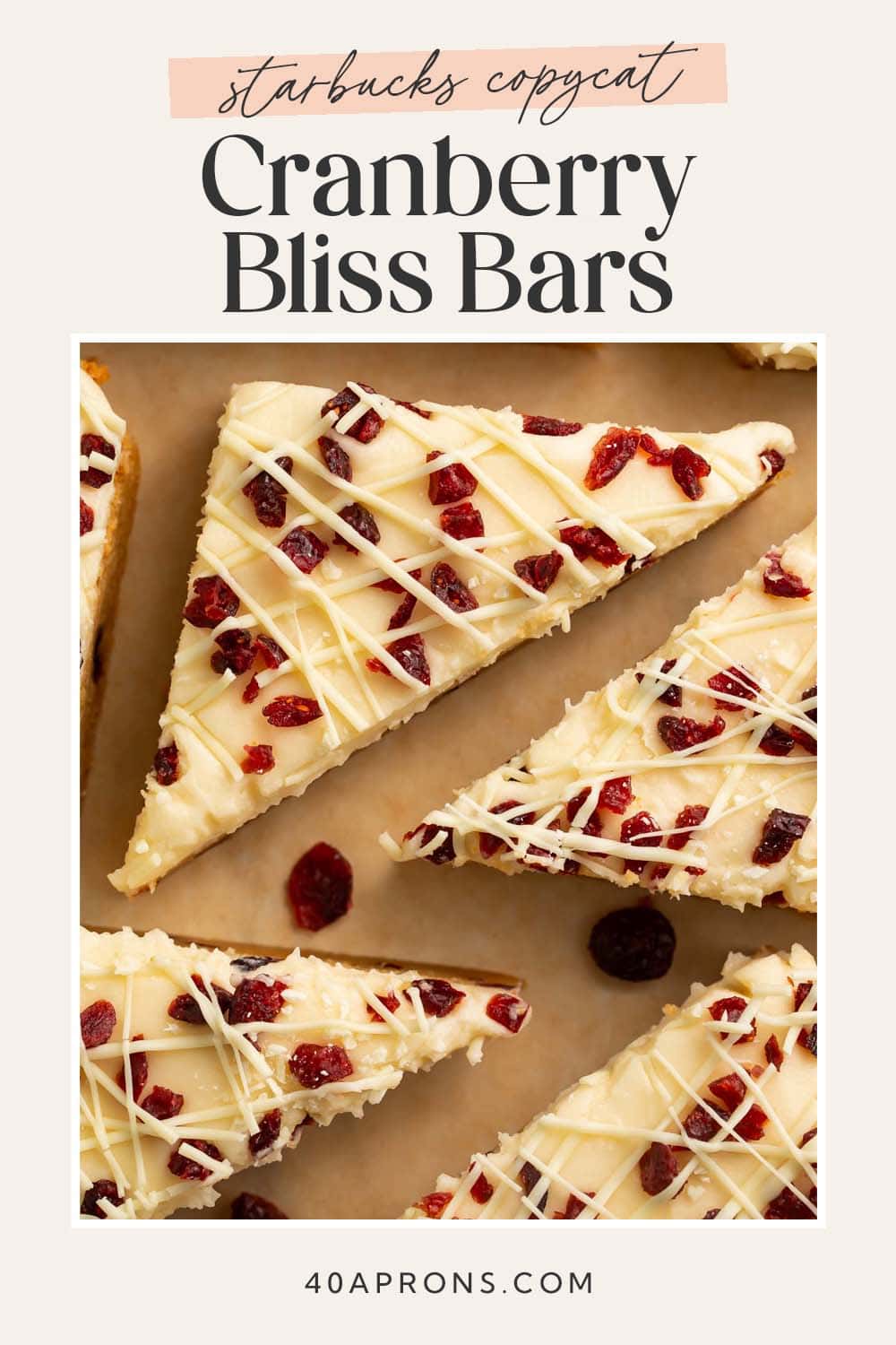 Pin graphic for cranberry bliss bars.