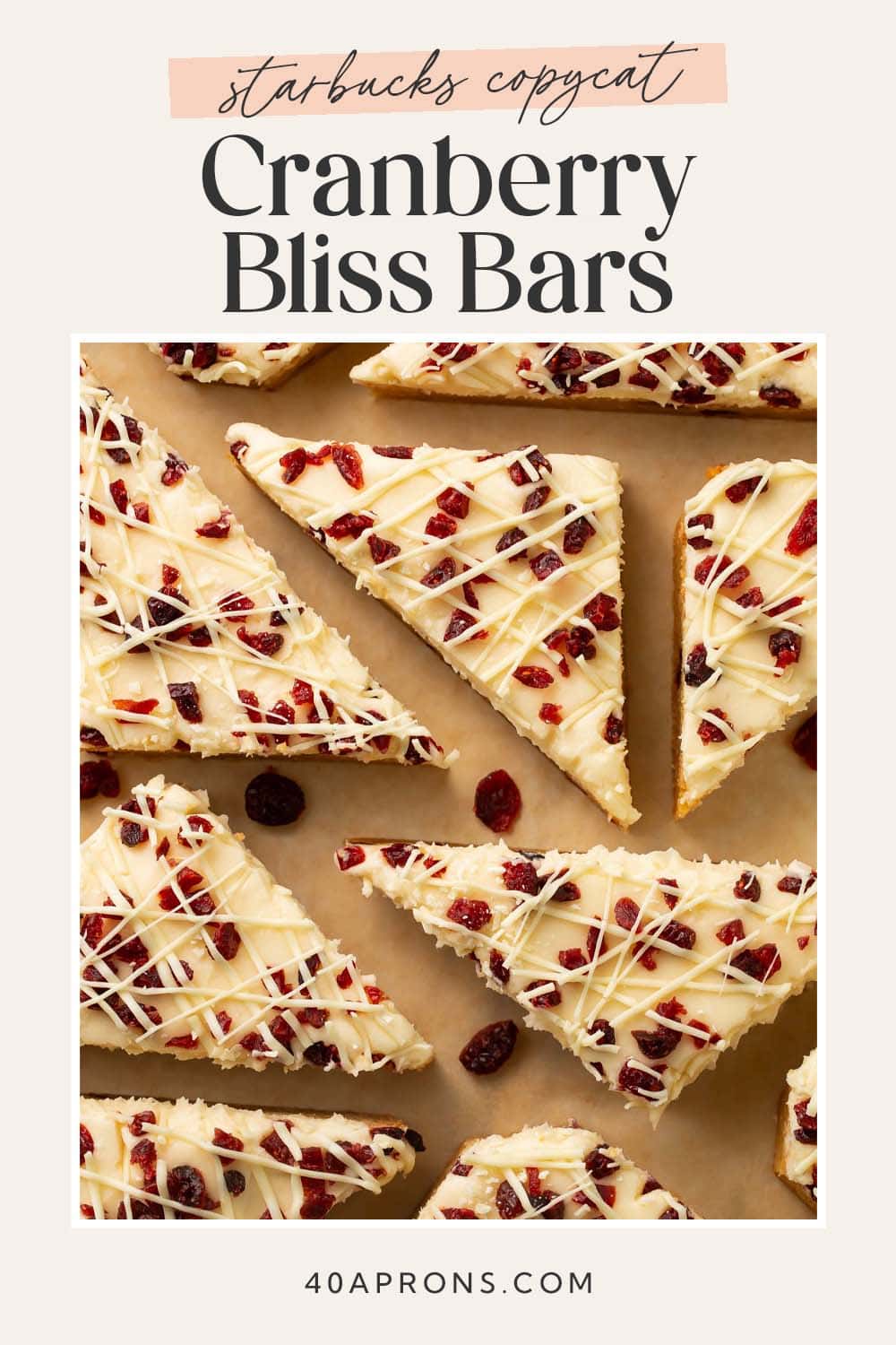 Pin graphic for cranberry bliss bars.